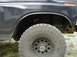 1981 Ford Bronco