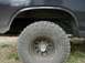 1981 Ford Bronco