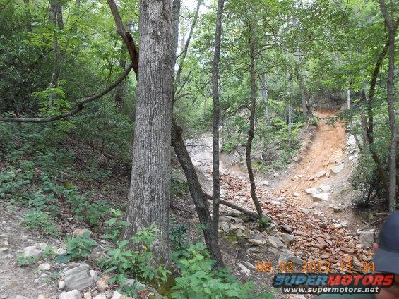 Off-road trail with rocks and trees, a person's head is visible on the right