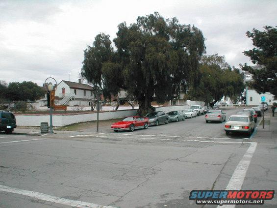 Red sports car parked on street next to a row of other cars under a large tree