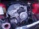 1996 BMW 3 Series - Engine bay view of a BMW E36, showing the fan clutch and serpentine belt system.