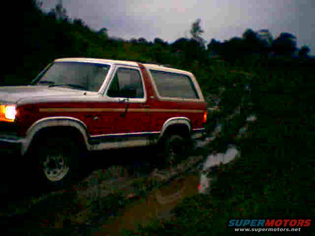 1981 Ford Bronco
