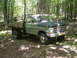 1979 Ford Bronco - This flatbed truck, likely a 1969 Ford F-Series, is parked amongst trees.