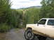 1989 Chevrolet C/K Pickup - A tan 1989 Chevrolet C/K Pickup navigates a muddy dirt road through a dense forest.