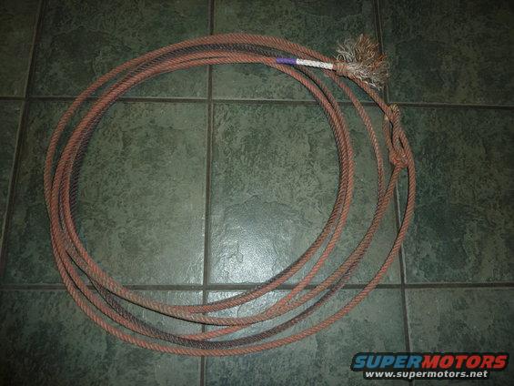 Coiled rope with a frayed end and a purple and white section, lying on a tiled floor