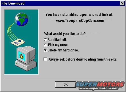 Computer screen showing a file download dialog with options like 'Run like hell' and 'Delete my hard drive'