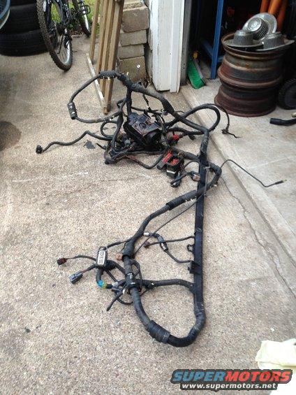 Engine wiring harness on concrete, with bicycle and tires in background