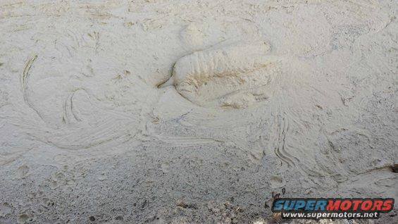 Muddy texture with tire tracks and Supermotors logo