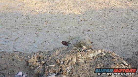 vehicle stuck deep in mud, only top is visible