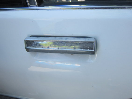 picture-001.jpg 