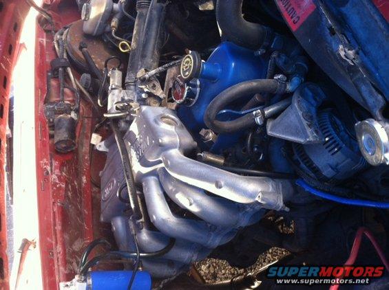 Close-up of a vehicle's engine bay, showing exhaust manifold, blue valve cover, and hoses
