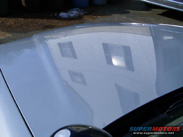 Glossy hood paint