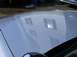 1999 Ford Crown Victoria - Glossy hood paint