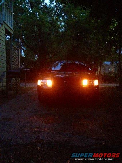my-cvpi5.jpg 