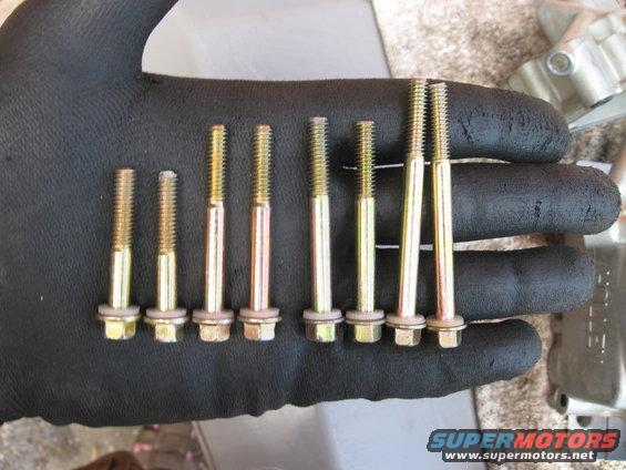Bolts with washers on a gloved hand