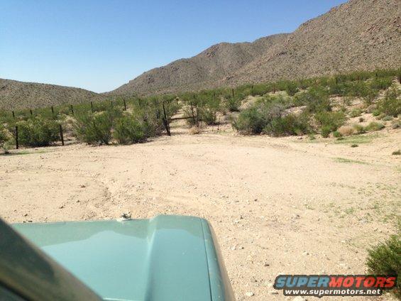 Teal 1986 Ford Bronco hood and fender in desert landscape
