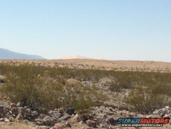 Desert landscape with scrub brush, rocks, and distant sand dunes under a clear blue sky