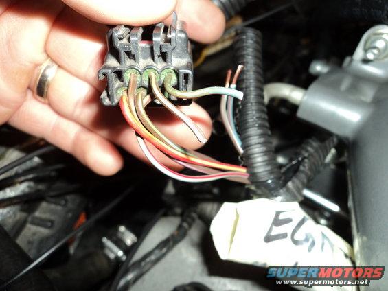 279-iat2-wiring-(rear-of-egr-connector).jpg 