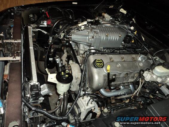 Engine bay with supercharger, V8 engine, radiator, and power steering reservoir. Supermotors.net watermark visible