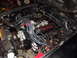 1981 Ford Mustang photo