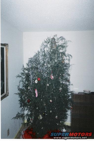 christmas-tree.jpg 
