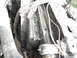 1980 Ford Bronco - Engine component detail, likely from a radiator section, showing grime and wiring.