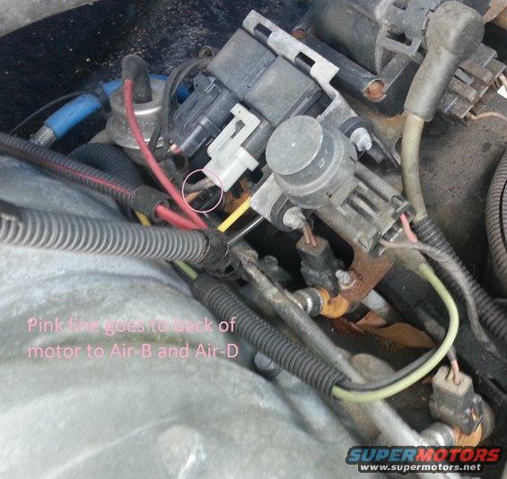 Close-up of engine wiring and connectors, with a pink line circled and labeled