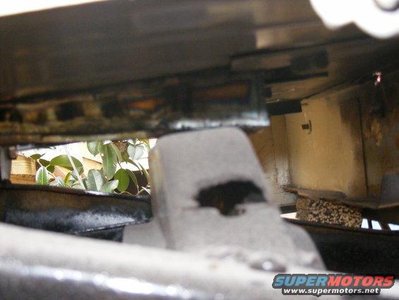 Undercarriage of a vehicle with visible suspension components and foliage in the background