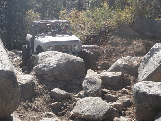 1961 International Scout 800 off-roading on a boulder-strewn trail, light-colored body, roll cage, driver visible