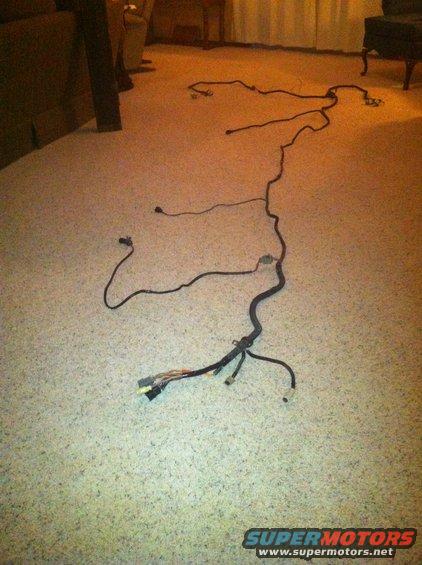 photo-6.jpg 