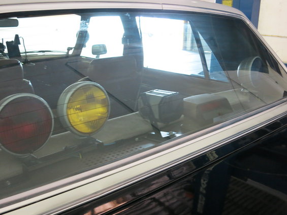 picture-255.jpg 