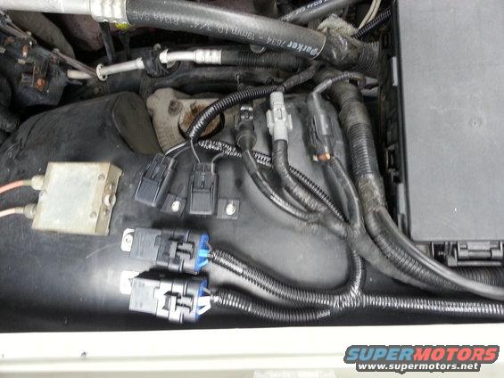 headlight-harness1.jpg Installed