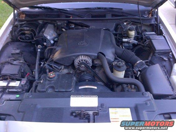 Engine bay of a 2001 Ford Crown Victoria. Shows the engine, battery, and various hoses and components