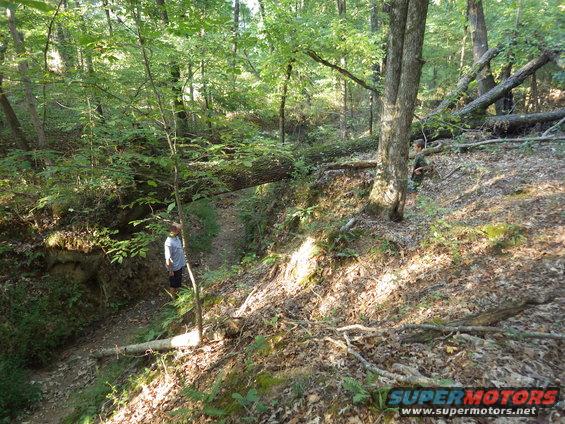 131010under4.jpg This is the trail we want to open: down into the creek to the Left, then turn Right and drive along the creek bed UNDER the fallen log, and out the other side to the Left again.