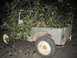 1946 Jeep CJ5