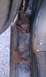 1990 Ford Bronco - My rotted front door pillar