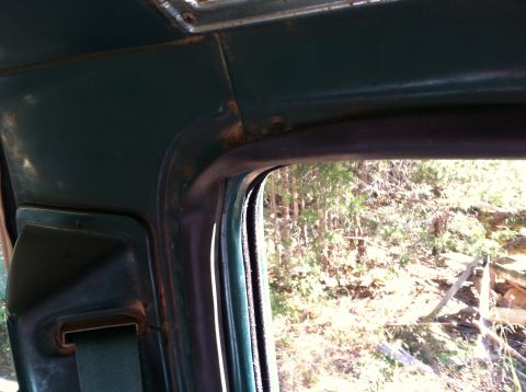 1978 Ford Bronco - Interior view of a vehicle showing a seatbelt and a roll bar, with trees visible through the window.