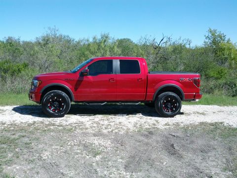2010 Ford F-150 photo