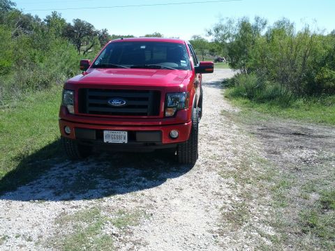 2010 Ford F-150 photo