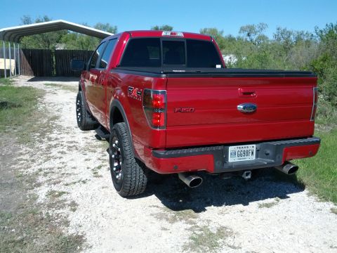 2010 Ford F-150 photo