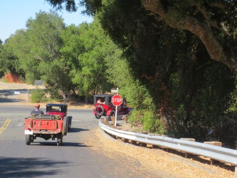 1946 Jeep CJ5 - Two vintage vehicles drive down a tree-lined road, with one stopping at a sign.