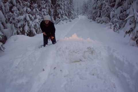 1996 Ford Bronco - Rochelle trying not to fall down. (12/27/2003)