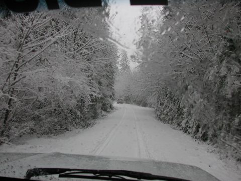 1996 Ford Bronco - Heading up the road toward Blair Lake trail at Salt Rock & Long prairies (by Shawn) (12/27/2003)