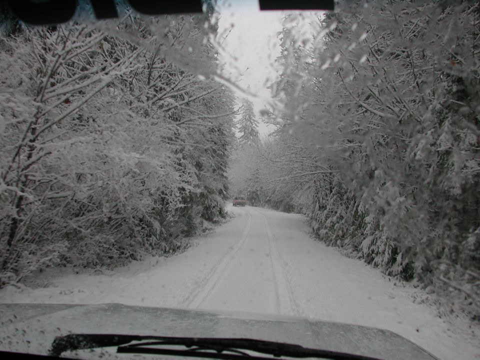 Heading up the road toward Blair Lake trail at Salt Rock & Long prairies  (by Shawn)  (12/27/2003)