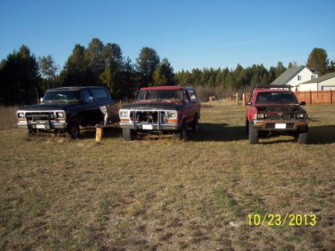 1991 Toyota Pickup/SR5 - Three trucks are parked in a field on a sunny day, with trees and houses in the background.