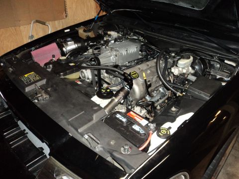 2004 Mercury Grand Marquis - Engine bay of a 2004 Mercury Grand Marquis modified with a supercharger.
