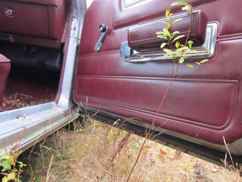 1991 Ford LTD Crown Victoria - A plant grows through the interior of a car door, showing the maroon upholstery and chrome details.