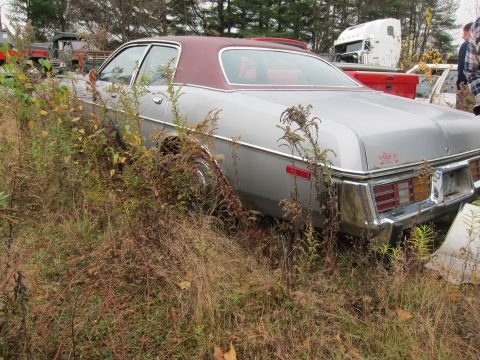 1991 Ford LTD Crown Victoria - A silver sedan with a maroon roof sits in a junkyard, surrounded by tall weeds and other vehicles.