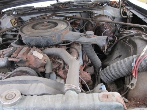 1991 Ford LTD Crown Victoria - Close-up of a car's engine bay, showing various parts and signs of disrepair.