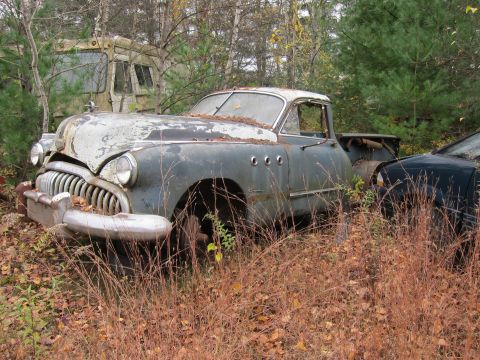 1991 Ford LTD Crown Victoria - A weathered Buick sits abandoned in a junkyard, surrounded by overgrown vegetation and other forgotten vehicles.